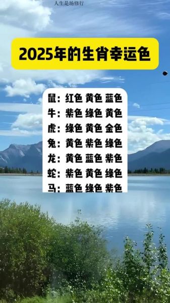 属相查询生肖颜色(2025年属马幸运颜色查询表最新版)