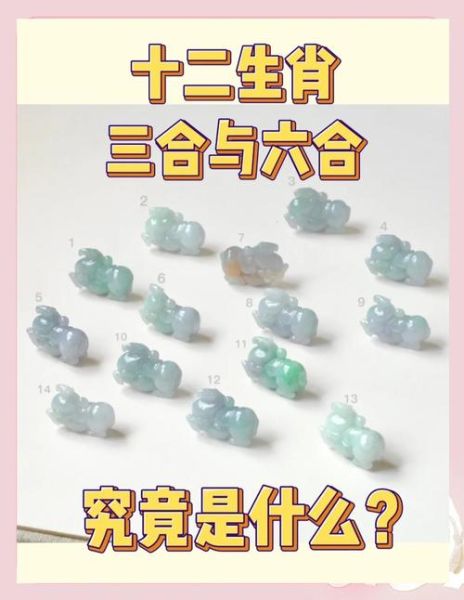 老虎合适的生肖属相(属虎婚配最佳生肖)