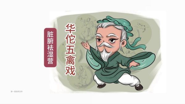 华佗属相属什么生肖(华佗属什么生肖)