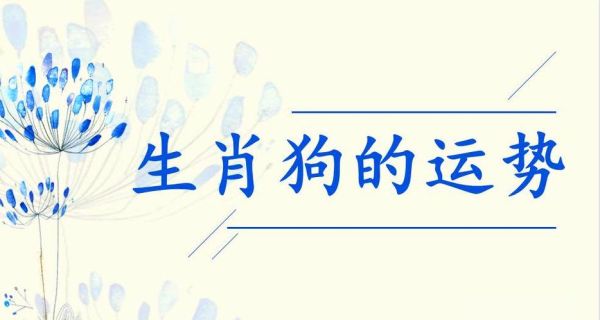 狗生肖冲什么属相