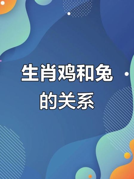 兔子属相属什么生肖最好（兔子属相配对哪个生肖最好？）