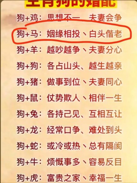 生肖属狗的配什么属相（属狗和什么属相最配最合婚）