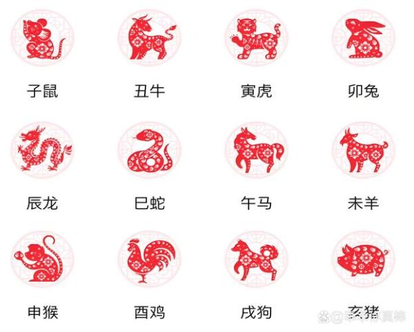 59岁生肖属相(59岁属什么生肖对照表一看就懂)