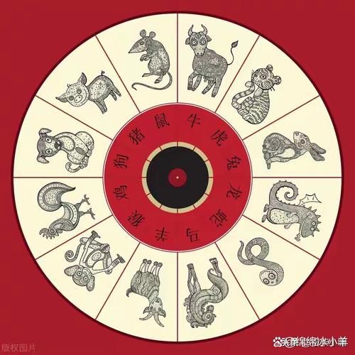 真主属什么生肖属相