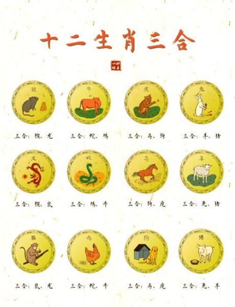 十二生肖四合属相有哪些（十二生肖四合属相有哪些 小白指南）