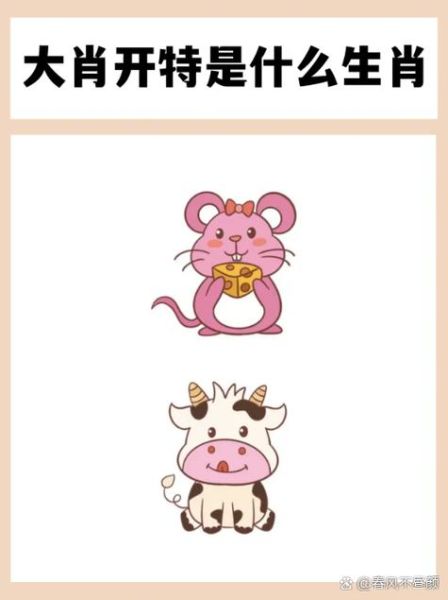 23的属相是什么生肖（23岁属什么生肖？一文看懂!）