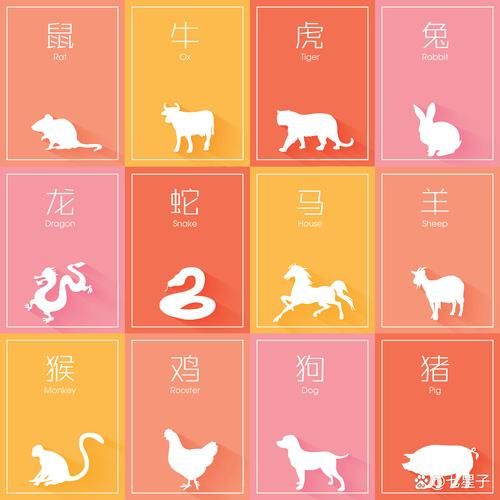 生肖属相配图（生肖属相配图高清无水印哪里找）