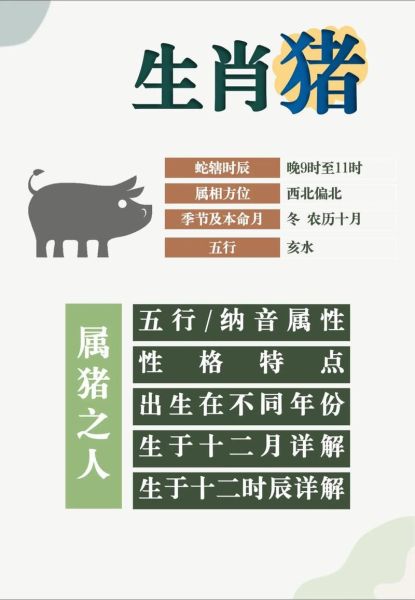 2007是什么生肖属相（2007年属什么生肖？2007年属猪运势详解）