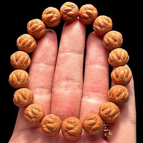 猴头猴什么生肖属相（猴头猴属于什么生肖？新手速查）