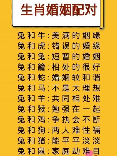 生肖兔和属相什么配(生肖兔和什么属相最配?新手一看就懂)