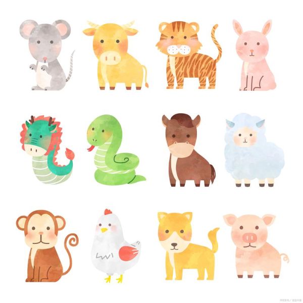 非洲生肖属相（非洲十二生肖有哪些动物）