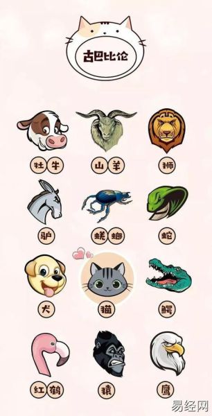 羊之前属相是什么生肖(羊之前属相是马 🐴😊)