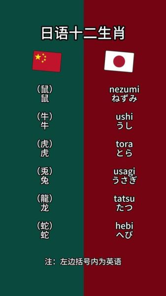 属相生肖 日语（日语怎么说十二生肖？中日对照表+发音技巧）