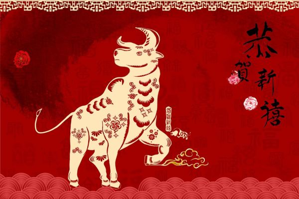 豆属哪个生肖属相最好（豆指什么生肖最旺？属牛还是属鼠好？）