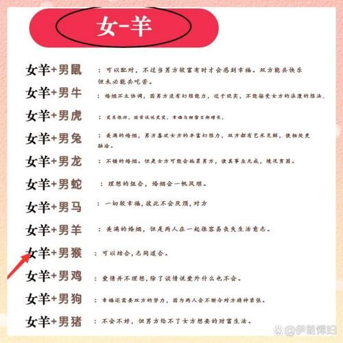 生肖最聪明的属相（生肖最聪明的属相是谁？新手看完秒懂）