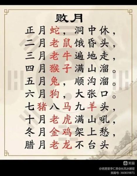 十二生肖破月属相(十二生肖破月是啥?新手一看秒懂)