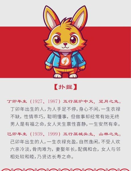 生肖兔不合属相吗（生肖兔不合什么属相？新手避坑指南！）