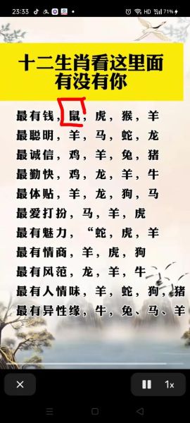 生肖鼠的属相详解大全