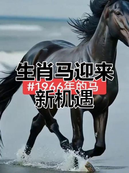 66年属什么生肖属相（1966年属什么生肖？快速告诉你属马🐎）