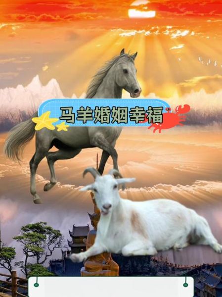 马属相配什么生肖好(属马和什么生肖最合婚)