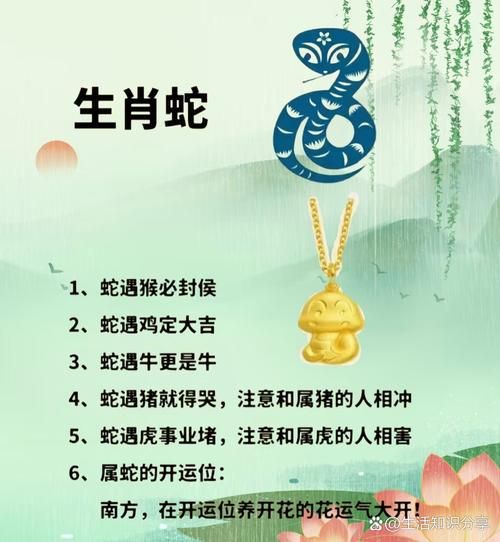 生肖靠山属相查询（生肖靠山属相查询：你命中的贵人属哪个？）