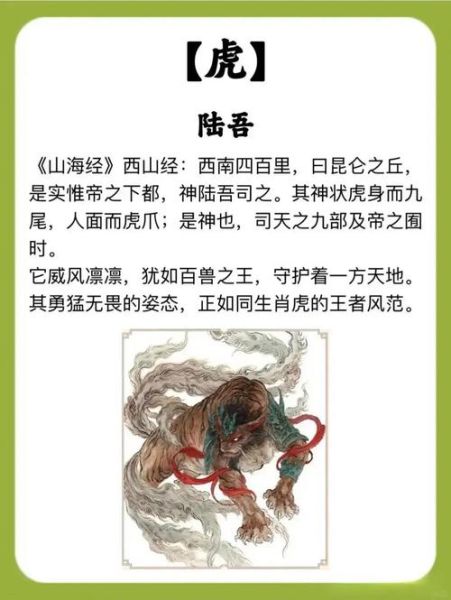 身长腿长的生肖属相（身长腿长的生肖属相有哪些）