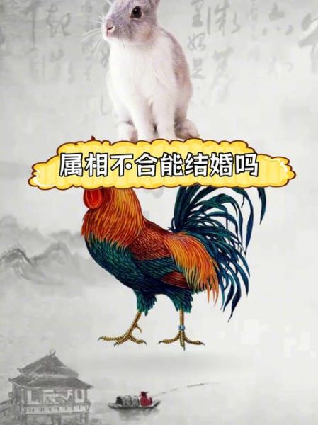 生肖鸡的情人什么属相（生肖鸡最配的三大属相情人）