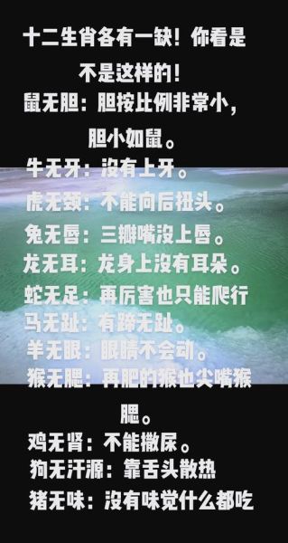 口恶心善的生肖属相（口恶心善的生肖属相是哪个？）