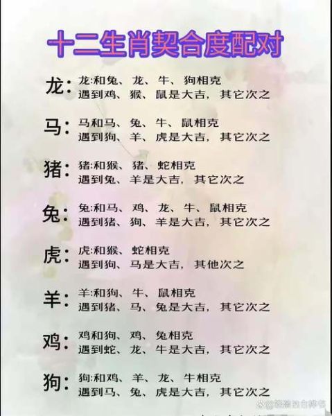 适合的生肖属相配对（生肖属相配对表查询指南）