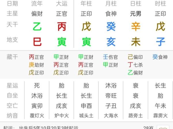 辛未属相是什么生肖呢（辛未属相是什么生肖？新手秒懂版）