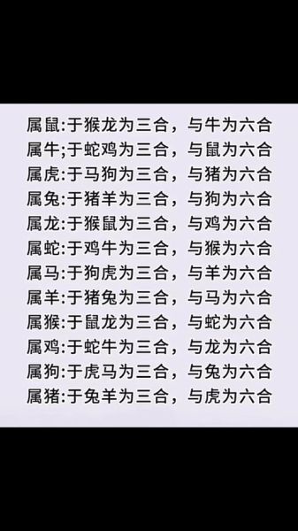 属相相合是什么生肖