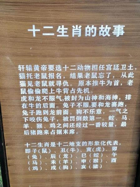 轩辕是什么属相的生肖（轩辕属相是什么生肖）