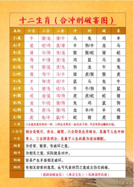 鼠的生肖和属相相冲（鼠的生肖和哪些属相相冲）