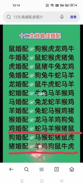 生肖鸡与什么属相不和