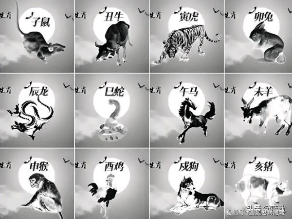 十二生肖没属相（十二生肖没属相怎么办）