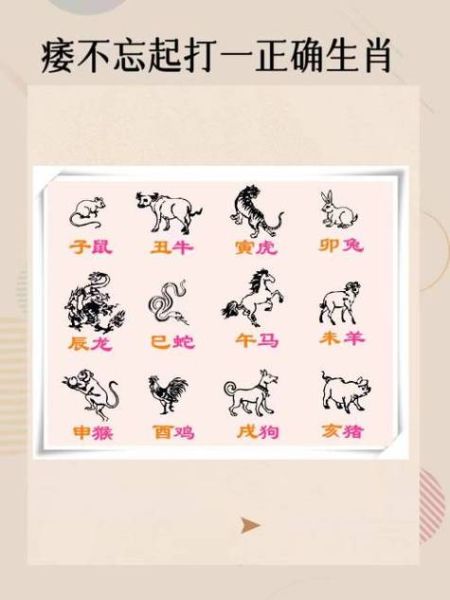 龙后面属相是什么生肖