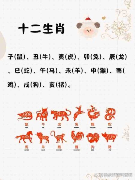 四九年属相是什么生肖（1949年属什么生肖？超全速查）