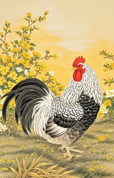 生肖鸡下面什么属相最好（生肖鸡后面哪个属相最合拍？）