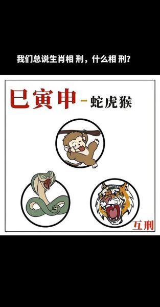 什么属相挨骂最多的生肖（被骂最多的生肖是什么）