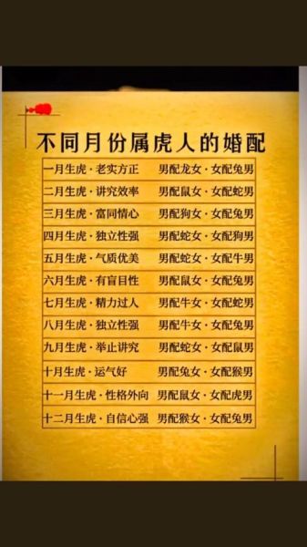 生肖虎的同族属相(虎和哪个生肖最配?同族属相排行榜📊)