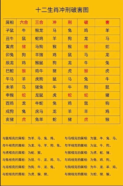 今天属相冲忌什么生肖（今天属相冲什么生肖对照表）