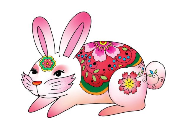 兔子属相属什么生肖