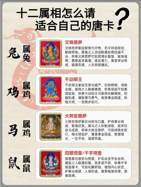 生肖卡属相怎么换的（生肖卡属相怎么换）