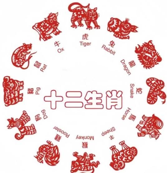 添丁生肖属相是什么（添丁生肖属相究竟是什么）