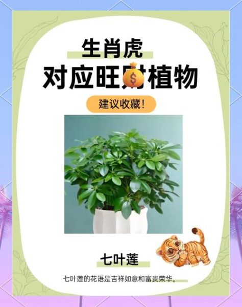 十二生肖的植物属相（十二生肖开运植物对照表）