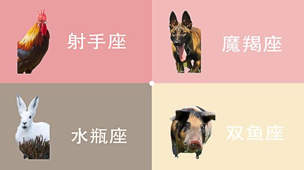 生肖决定星座还是属相好(生肖决定星座还是属相哪个准)