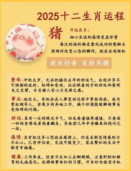 生肖中猪属相（生肖猪的寓意和象征是什么？）