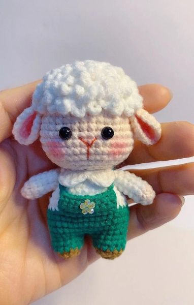 小毛属什么生肖属相（小毛属什么生肖属相？）