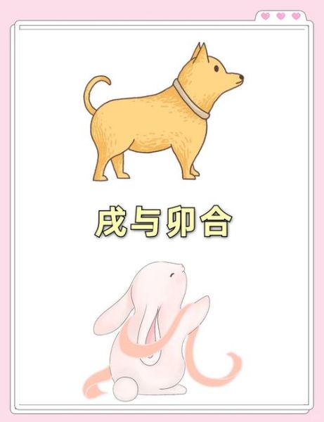 生肖狗和属相兔（生肖狗跟兔子合不合婚）