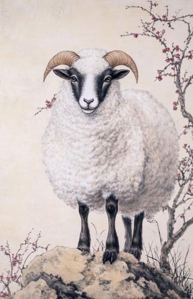 老羊什么生肖属相最好